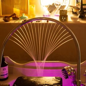 Head SPA